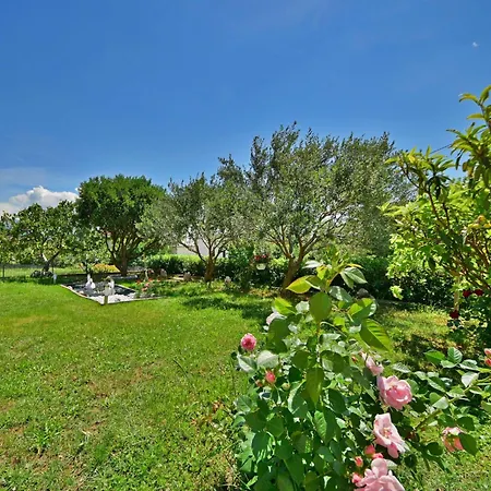 Zeljka-3 By Interhome